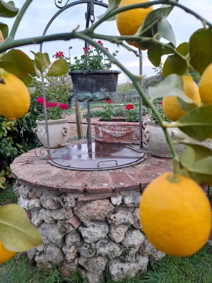 Casa Patti Alle Porte Di シエーナ エクステリア 写真