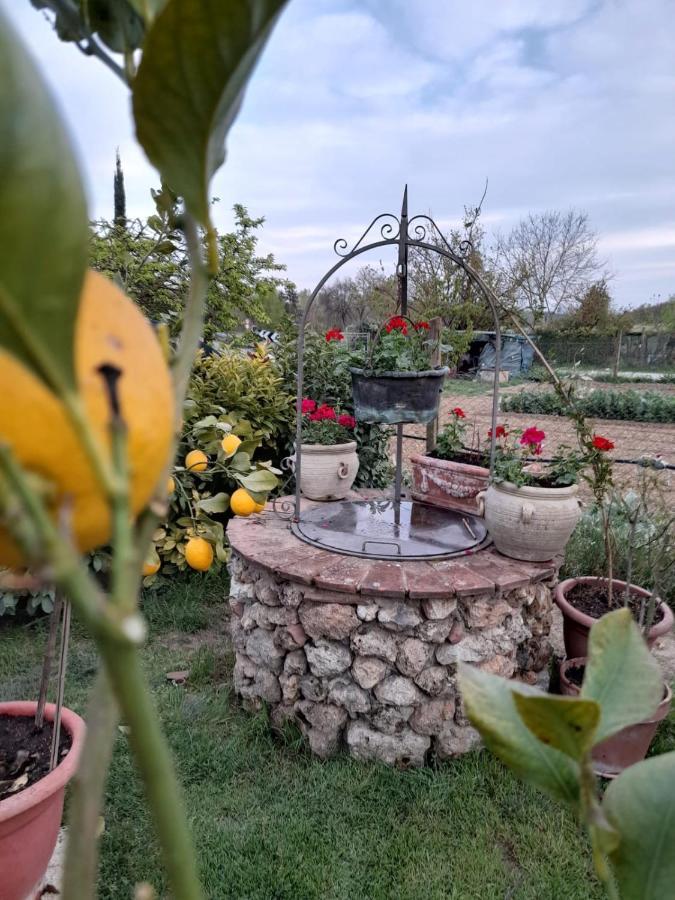 Casa Patti Alle Porte Di シエーナ エクステリア 写真