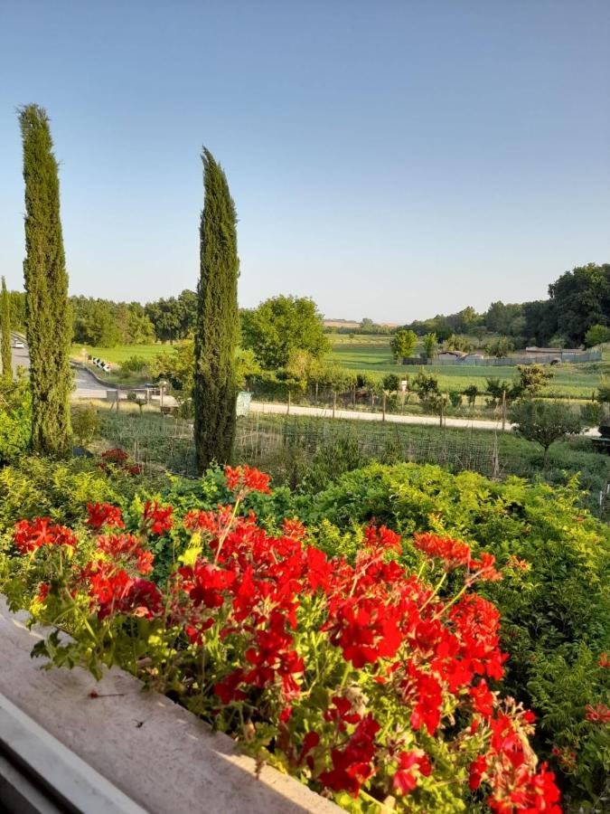 Casa Patti Alle Porte Di シエーナ エクステリア 写真